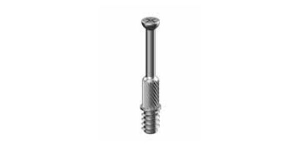 Pro Minifix Pin PZ2