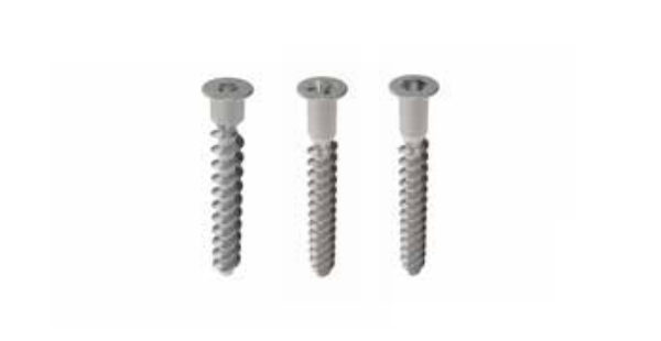 Cabinet Screw